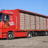 ChatGPT-Image-6-fevr.-2026-13_19_43.png German Pellets LKW-Komplettladung – 24 Paletten (72 Säcke × 15 kg pro Palette / 1080 kg)