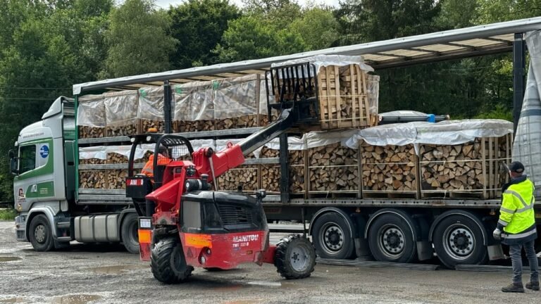LKW mit Brennholz-Paletten Holz-Wagner