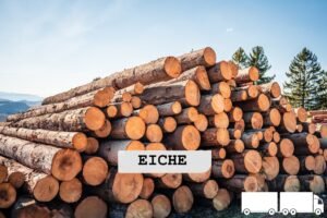Stammholz Eiche – 20 RM (Halb-LKW) / 40 RM (Komplett-LKW)