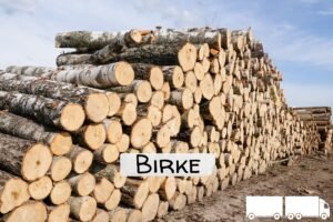 Stammholz Birke – 20 RM (Halb-LKW) / 40 RM (Komplett-LKW)