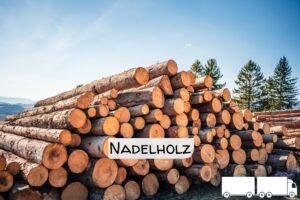 Stammholz Nadelholz – 20 RM (Halb-LKW) / 40 RM (Komplett-LKW)