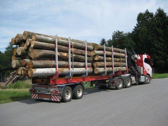 Beladener Holztransporter