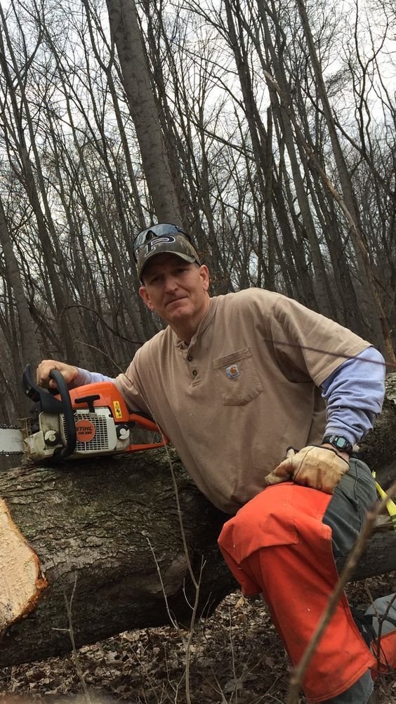 Arbeit am Stamm im Wald