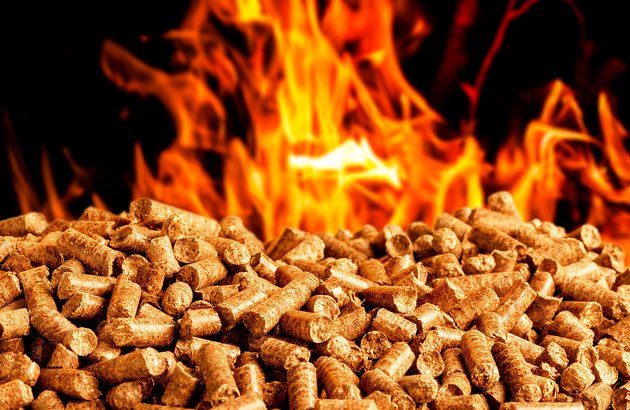 Birkenholz – hell im Feuerbild