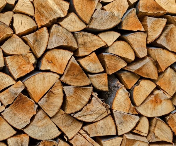 Stammholz – Rohstoff für Selbstwerber