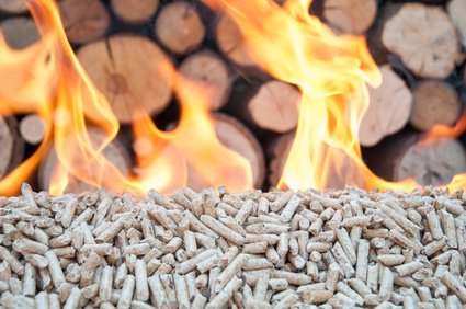 Woodstock Pellets – Sackware auf Palette